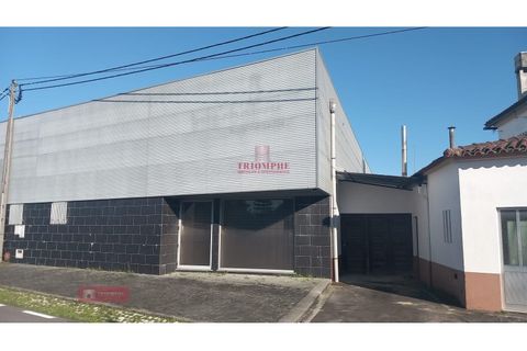 Erhvervsejendom i Cantanhede, Coimbra, Cantanhede - € 290.000 | Ref: TPH001-191 - foto 9