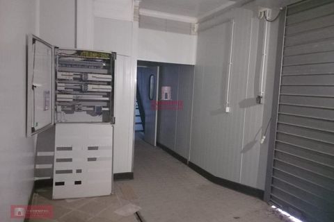 Erhvervsejendom i Cantanhede, Coimbra, Cantanhede - € 290.000 | Ref: TPH001-191 - foto 14