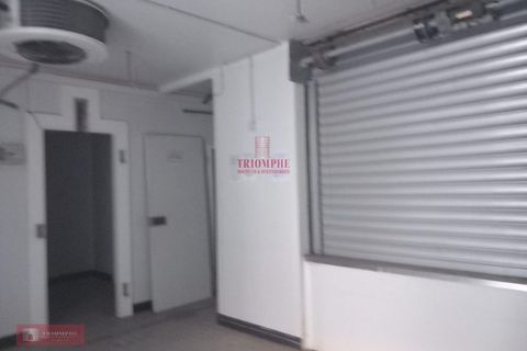 Erhvervsejendom i Cantanhede, Coimbra, Cantanhede - € 290.000 | Ref: TPH001-191 - foto 16