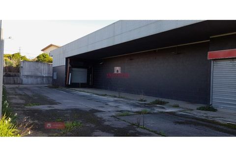 Erhvervsejendom i Cantanhede, Coimbra, Cantanhede - € 290.000 | Ref: TPH001-191 - foto 18