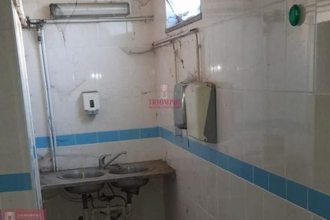 Erhvervsejendom i Cantanhede, Coimbra, Cantanhede - € 290.000 | Ref: TPH001-191 - foto 23