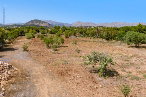 Tomt i Pollenca, Mallorca, Pollenca - € 750 000 | Ref: POL0581POL5 - foto 2