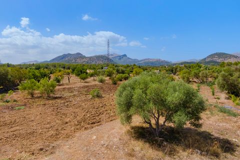 Tomt i Pollenca, Mallorca, Pollenca - € 750 000 | Ref: POL0581POL5 - foto 4