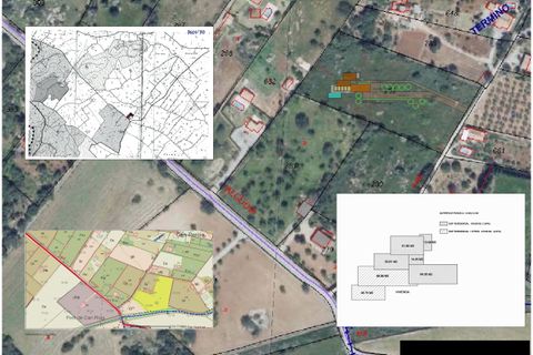 Tomt i Pollenca, Mallorca, Pollenca - € 750 000 | Ref: POL0581POL5 - foto 12
