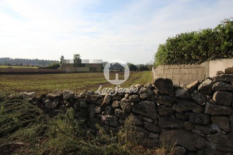 Tomt i Vila do Conde, Porto, Vila do Conde - € 109 000 | Ref: 240-T-23902 - foto 6