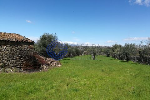 Byhus i Idanha-a-Nova, Castelo Branco, Idanha-a-Nova - € 45.000 | Ref: 144641 - foto 2