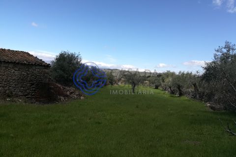 Byhus i Idanha-a-Nova, Castelo Branco, Idanha-a-Nova - € 45.000 | Ref: 144641 - foto 8