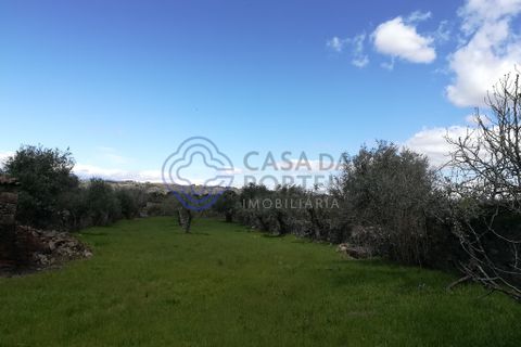 Byhus i Idanha-a-Nova, Castelo Branco, Idanha-a-Nova - € 45.000 | Ref: 144641 - foto 29
