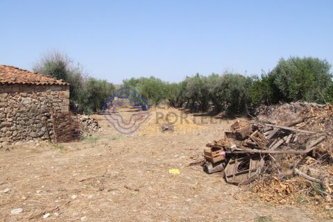 Byhus i Idanha-a-Nova, Castelo Branco, Idanha-a-Nova - € 45.000 | Ref: 144641 - foto 38