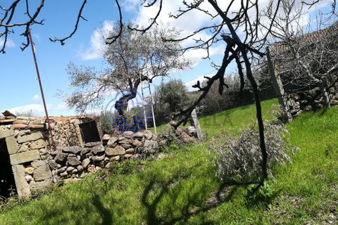 Byhus i Idanha-a-Nova, Castelo Branco, Idanha-a-Nova - € 45.000 | Ref: 144641 - foto 41