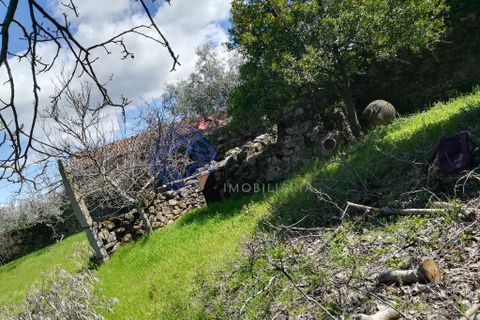 Byhus i Idanha-a-Nova, Castelo Branco, Idanha-a-Nova - € 45.000 | Ref: 144641 - foto 42