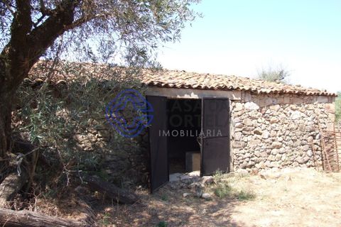 Byhus i Idanha-a-Nova, Castelo Branco, Idanha-a-Nova - € 45.000 | Ref: 144641 - foto 43
