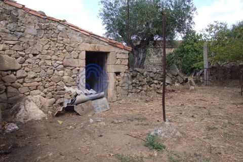 Byhus i Idanha-a-Nova, Castelo Branco, Idanha-a-Nova - € 45.000 | Ref: 144641 - foto 44