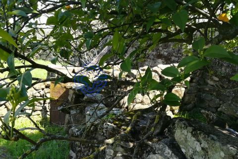 Byhus i Idanha-a-Nova, Castelo Branco, Idanha-a-Nova - € 45.000 | Ref: 144641 - foto 6