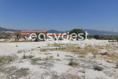 Helårsgrund i Belmonte, Castelo Branco, Belmonte - € 2.000.000 | Ref: CB89923MA - foto 4