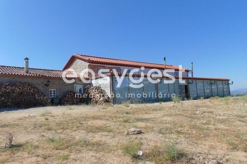 Helårsgrund i Belmonte, Castelo Branco, Belmonte - € 2.000.000 | Ref: CB89923MA - foto 7