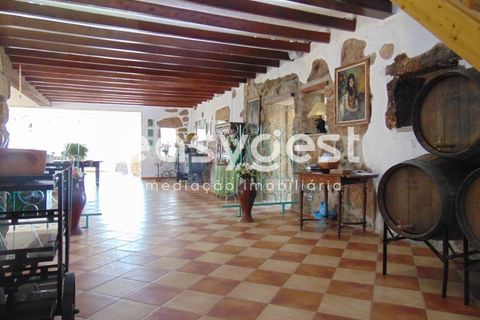 Helårsgrund i Belmonte, Castelo Branco, Belmonte - € 2.000.000 | Ref: CB89923MA - foto 11