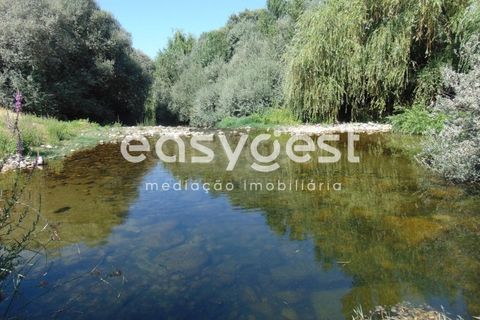 Helårsgrund i Belmonte, Castelo Branco, Belmonte - € 2.000.000 | Ref: CB89923MA - foto 23