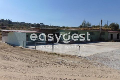 Helårsgrund i Belmonte, Castelo Branco, Belmonte - € 2.000.000 | Ref: CB89923MA - foto 25