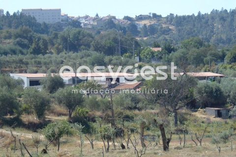 Helårsgrund i Belmonte, Castelo Branco, Belmonte - € 2.000.000 | Ref: CB89923MA - foto 27
