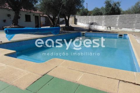 Helårsgrund i Belmonte, Castelo Branco, Belmonte - € 2.000.000 | Ref: CB89923MA - foto 29
