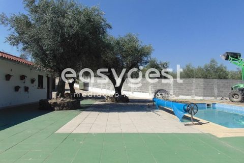 Helårsgrund i Belmonte, Castelo Branco, Belmonte - € 2.000.000 | Ref: CB89923MA - foto 30