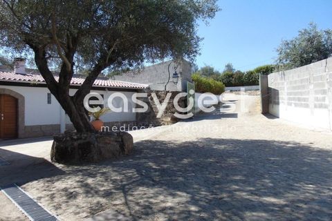 Helårsgrund i Belmonte, Castelo Branco, Belmonte - € 2.000.000 | Ref: CB89923MA - foto 31