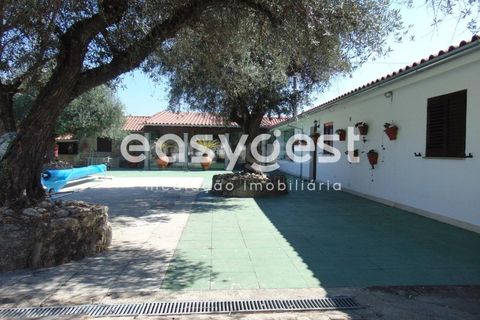Helårsgrund i Belmonte, Castelo Branco, Belmonte - € 2.000.000 | Ref: CB89923MA - foto 32