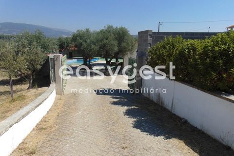 Helårsgrund i Belmonte, Castelo Branco, Belmonte - € 2.000.000 | Ref: CB89923MA - foto 45