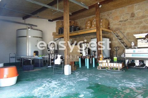 Helårsgrund i Belmonte, Castelo Branco, Belmonte - € 2.000.000 | Ref: CB89923MA - foto 47