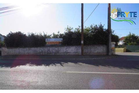 Farm i Serta, Castelo Branco, Serta - € 160.000 | Ref: AA239 - foto 2