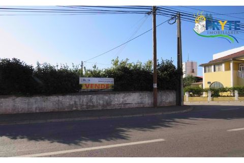 Farm i Serta, Castelo Branco, Serta - € 160.000 | Ref: AA239 - foto 3