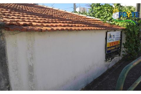 Farm i Serta, Castelo Branco, Serta - € 160.000 | Ref: AA239 - foto 4