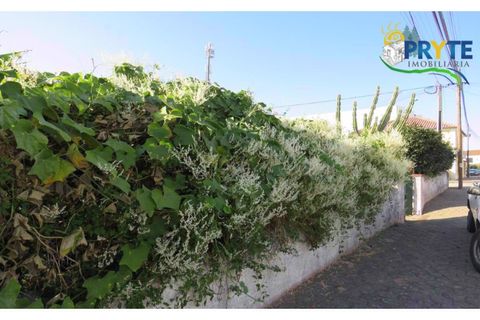 Farm i Serta, Castelo Branco, Serta - € 160.000 | Ref: AA239 - foto 5