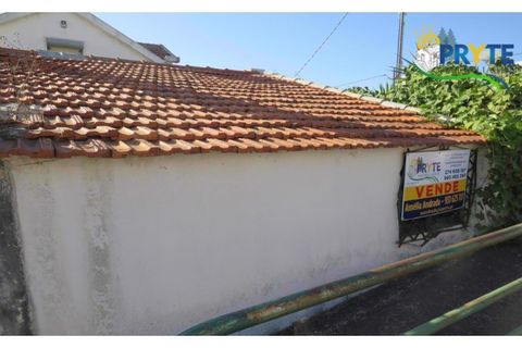 Farm i Serta, Castelo Branco, Serta - € 160.000 | Ref: AA239 - foto 6