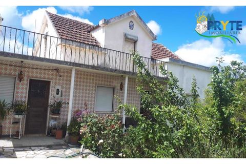 Farm i Serta, Castelo Branco, Serta - € 160.000 | Ref: AA239 - foto 7