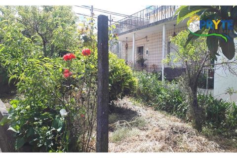 Farm i Serta, Castelo Branco, Serta - € 160.000 | Ref: AA239 - foto 9