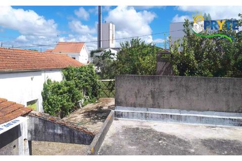 Farm i Serta, Castelo Branco, Serta - € 160.000 | Ref: AA239 - foto 12