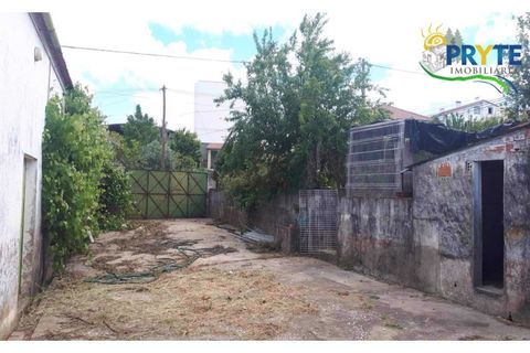 Farm i Serta, Castelo Branco, Serta - € 160.000 | Ref: AA239 - foto 16