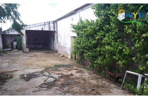Farm i Serta, Castelo Branco, Serta - € 160.000 | Ref: AA239 - foto 17