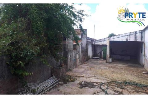Farm i Serta, Castelo Branco, Serta - € 160.000 | Ref: AA239 - foto 18