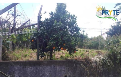Farm i Serta, Castelo Branco, Serta - € 160.000 | Ref: AA239 - foto 19