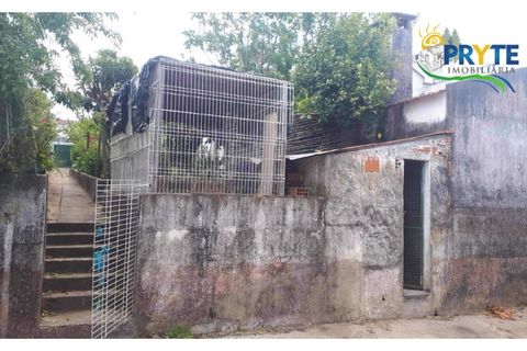 Farm i Serta, Castelo Branco, Serta - € 160.000 | Ref: AA239 - foto 20