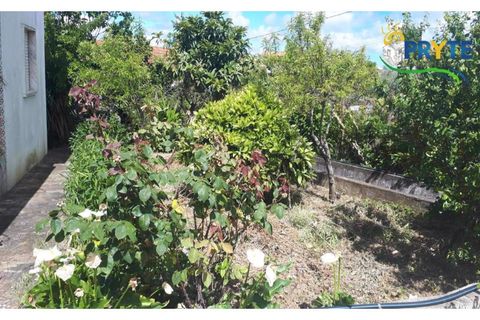 Farm i Serta, Castelo Branco, Serta - € 160.000 | Ref: AA239 - foto 21