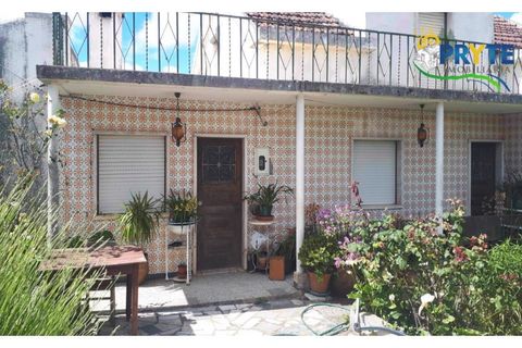 Farm i Serta, Castelo Branco, Serta - € 160.000 | Ref: AA239 - foto 22