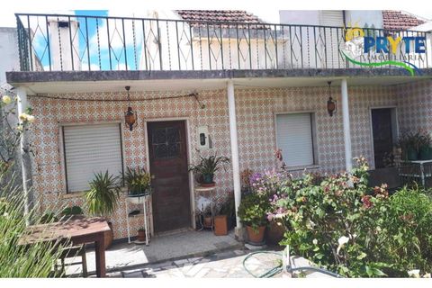 Farm i Serta, Castelo Branco, Serta - € 160.000 | Ref: AA239 - foto 23
