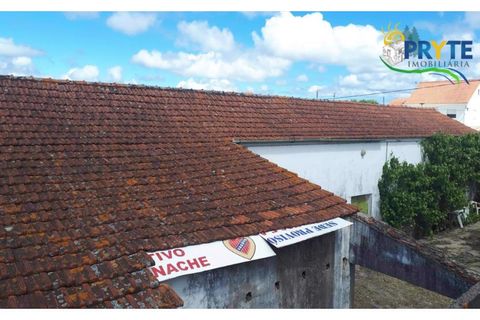 Farm i Serta, Castelo Branco, Serta - € 160.000 | Ref: AA239 - foto 24