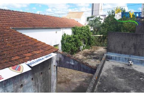 Farm i Serta, Castelo Branco, Serta - € 160.000 | Ref: AA239 - foto 26