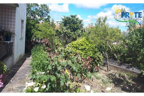Farm i Serta, Castelo Branco, Serta - € 160.000 | Ref: AA239 - foto 27