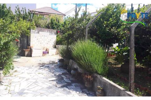 Farm i Serta, Castelo Branco, Serta - € 160.000 | Ref: AA239 - foto 29